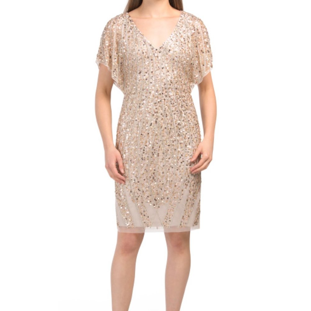 ADRIANNA PAPELL  Dress Size 14